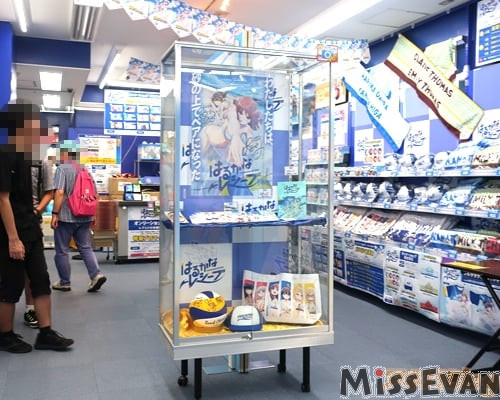 Animate秋叶原「遥的接球ONLYSHOP」活动开办