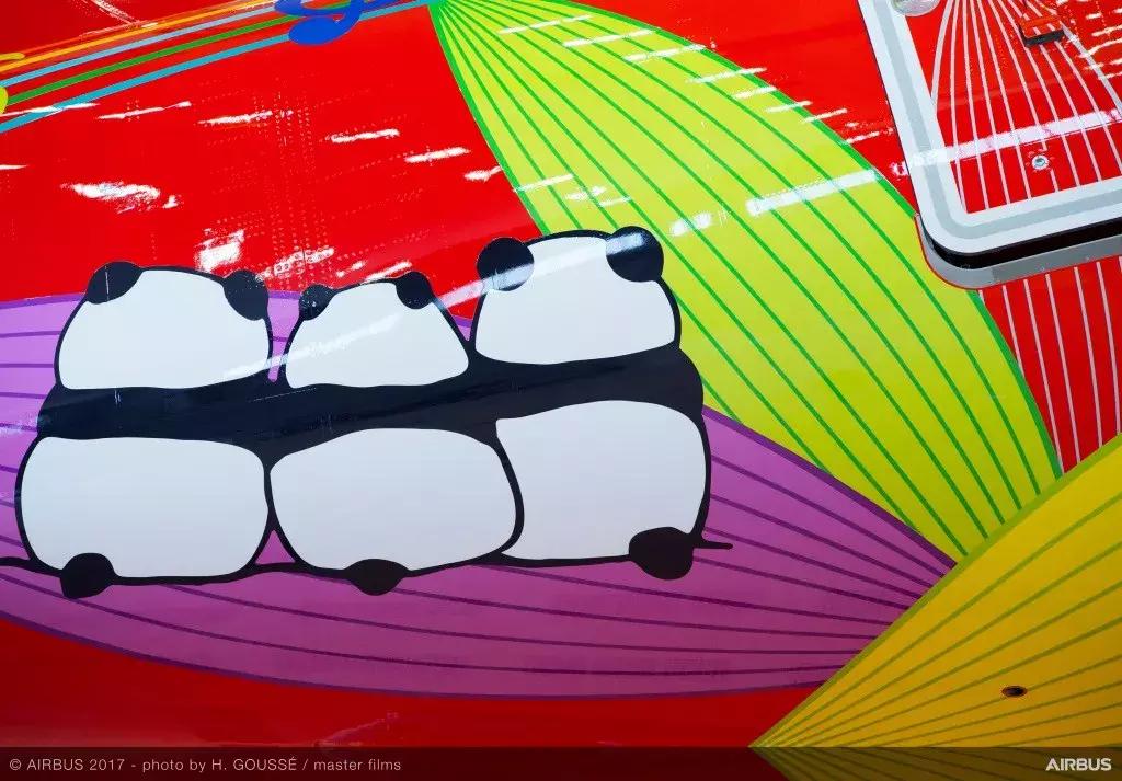 川航客机奇迹归来,川航第一架宽体客机