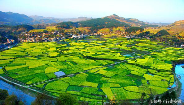 途远实业有限公司,途远智能科技有限公司