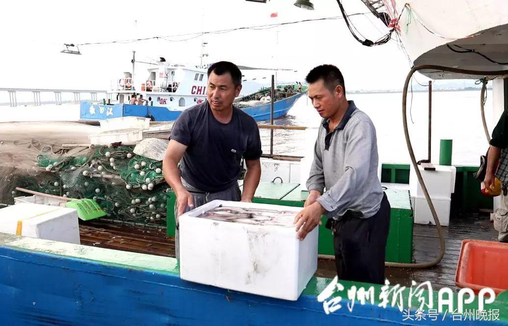 水潺批发价20元/斤跌到3元/斤！开渔，台州海鲜卖白菜价