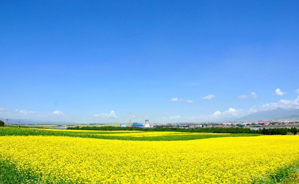 青海湖茶卡盐湖的路线,青海湖茶卡盐湖大草原