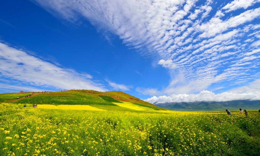 青海湖茶卡盐湖的路线,青海湖茶卡盐湖大草原