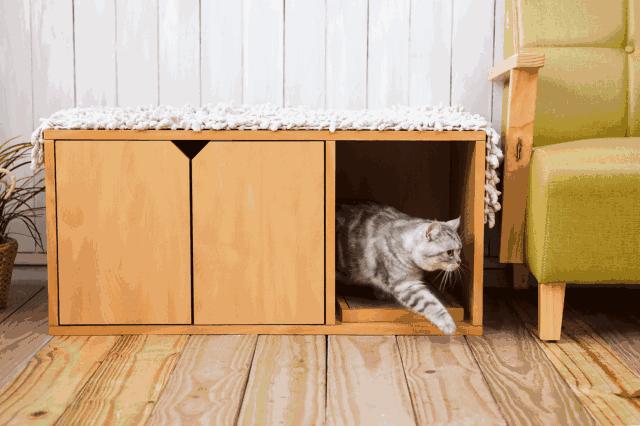 意大利/台湾参展品牌预览｜CIPS上的意式风情和台式浪漫