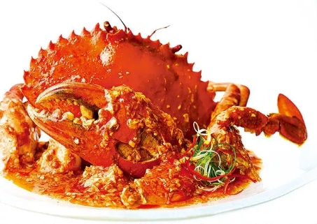 新加坡购物必买的十大名牌,新加坡便宜的品牌有哪些