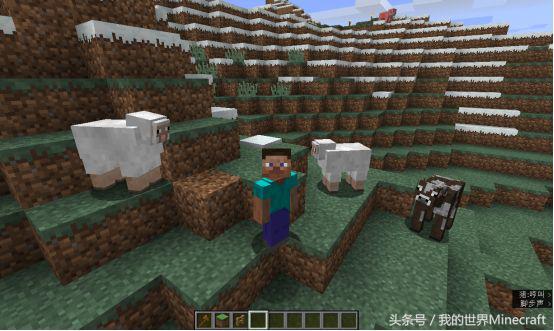 我的世界网易版怎么做苦力怕农场,我的世界1.19苦力怕农场选址