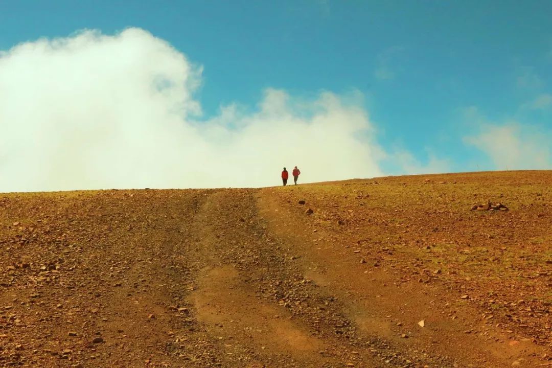 关于*藏西**旅行,你应该知道的15件事