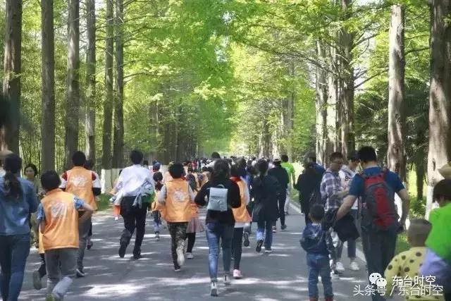 江苏东台未来城市规划,江苏东台属于几线城市