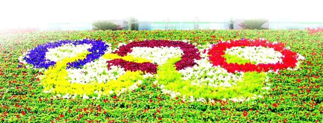 老照片北京奥运会,奥运十年中国十年