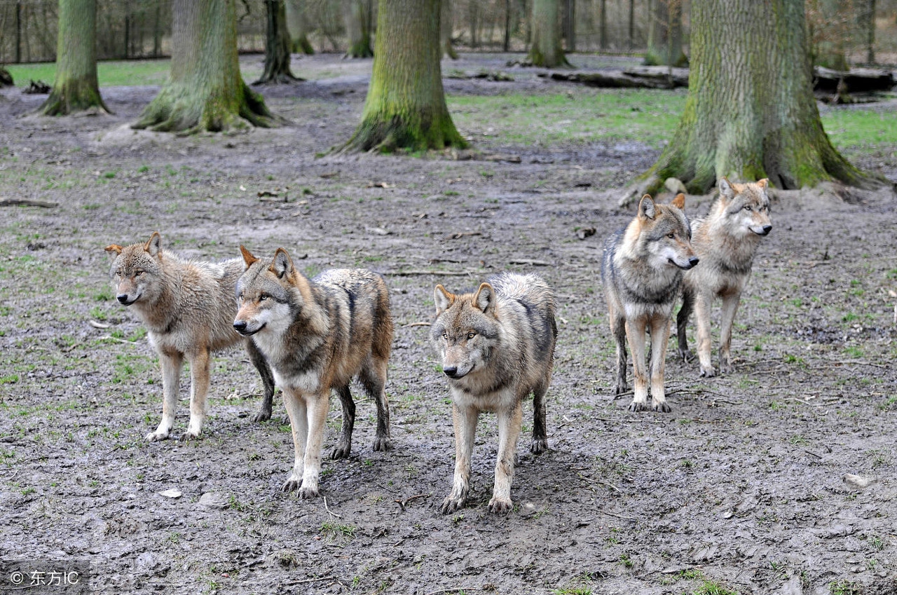 当你没人脉时找谁也没用,当你没有人脉时借力