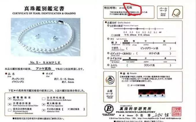 珍珠基础问答,小火说电影全集