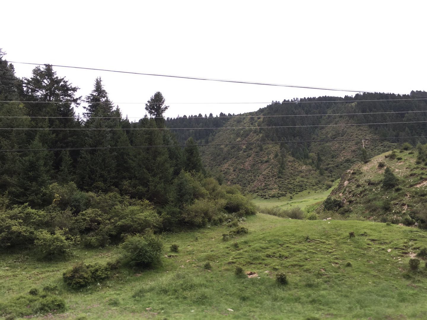 80岁老夫妻自驾游世界各地,湖南80后夫妻自驾环游全国