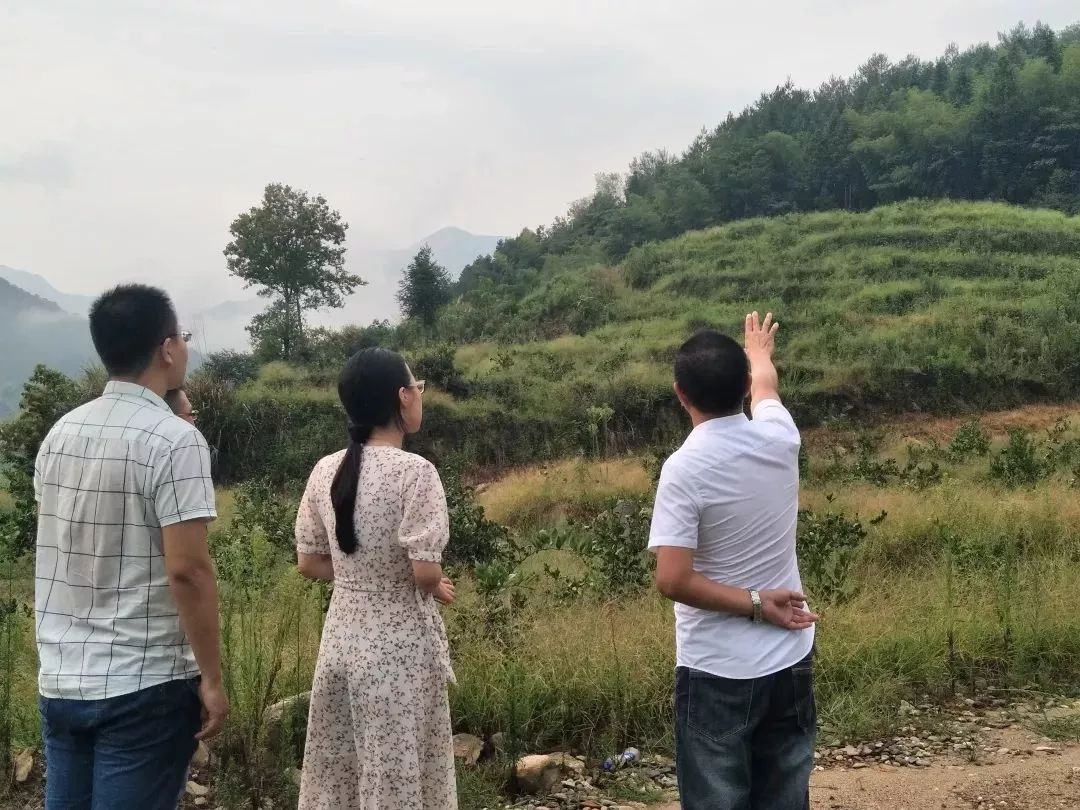 看过来！带你走一走将乐的这些返乡青年创业基地~｜新时代新作为新篇章