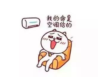 最近菜价上涨什么行情,南京栖霞区今日水果价格