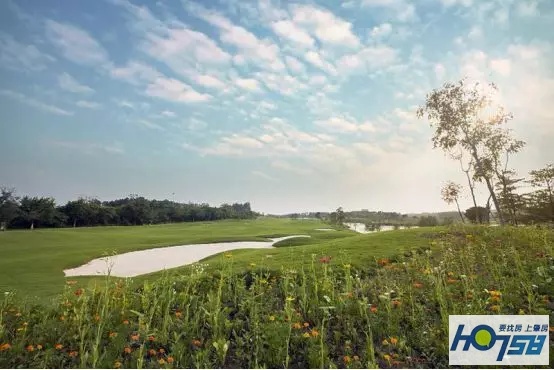 肇庆新区体育馆室内馆,肇庆体育馆效果图