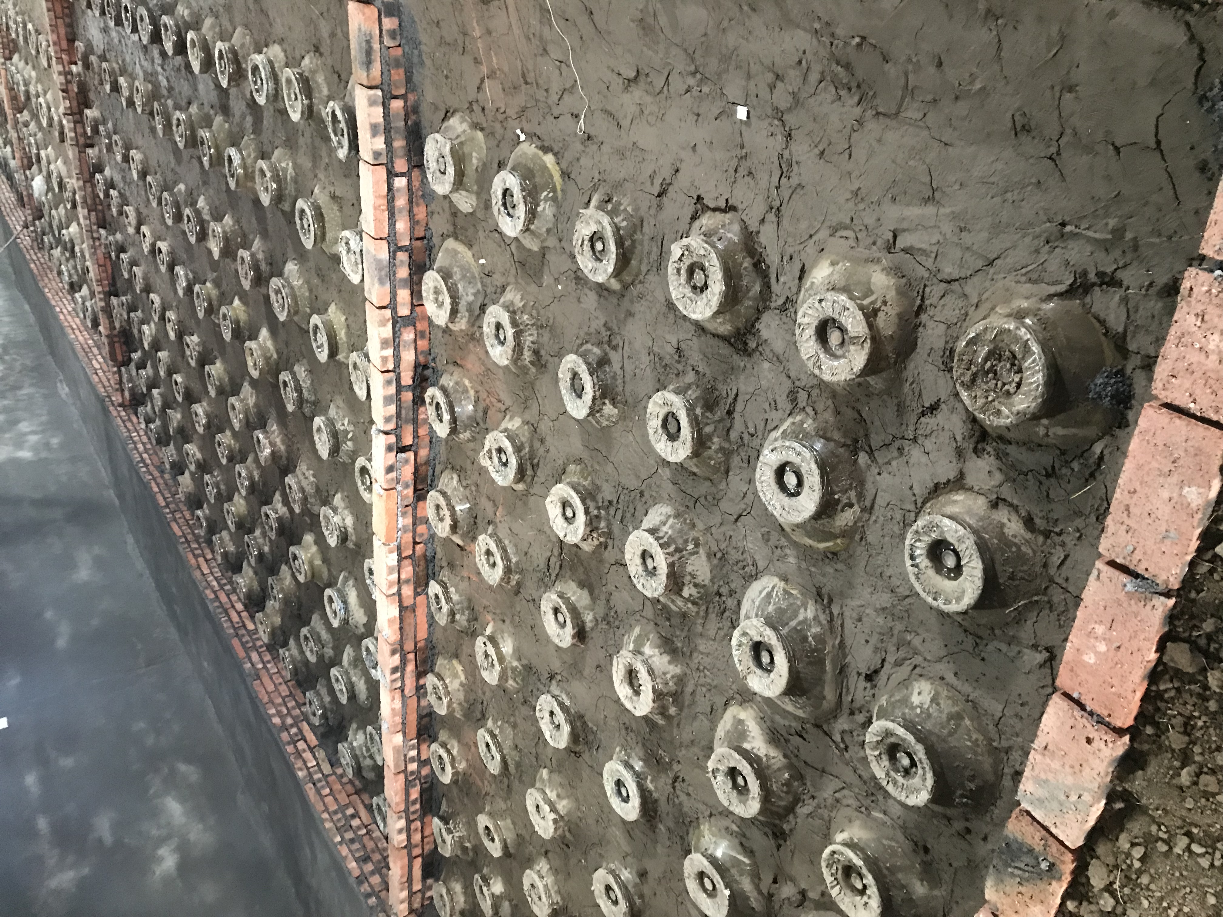 刚到高原是不是要少喝水,初到高原吃些什么好