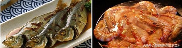 辽宁农家乐旅游攻略,辽宁农家度假村