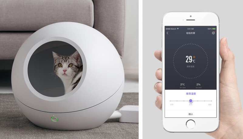 新手铲屎官如何讨好猫咪,铲屎官怎么讨猫咪喜欢