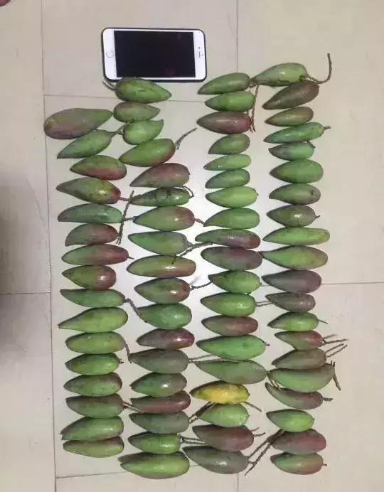 拼多多黄峥对拼多多未来看法,黄峥说拼多多低价不等于低质