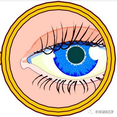 这张表太有用了看过的都收藏了,不用去验血一查就能知道自己缺啥