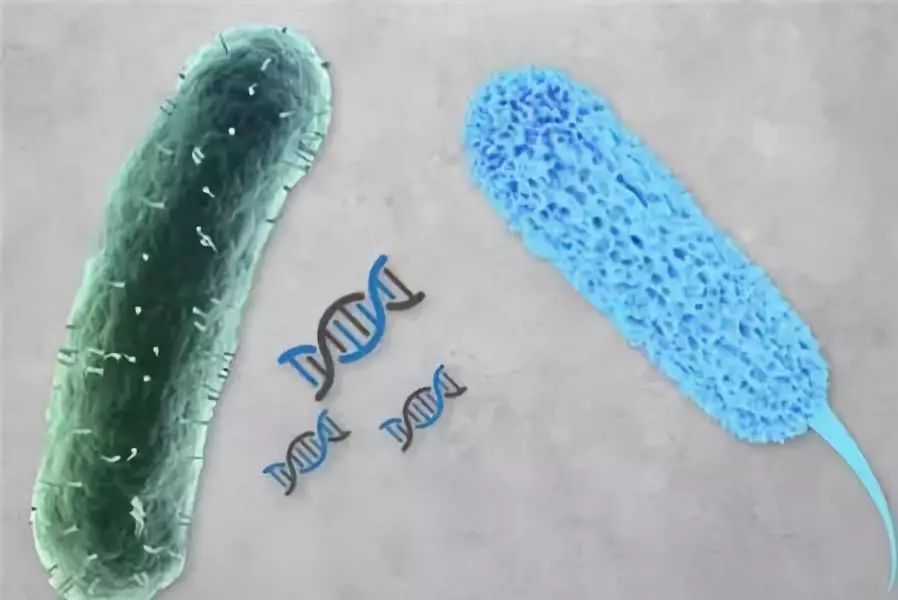 合成生物学发展的技术基础,合成生物学和人工智能