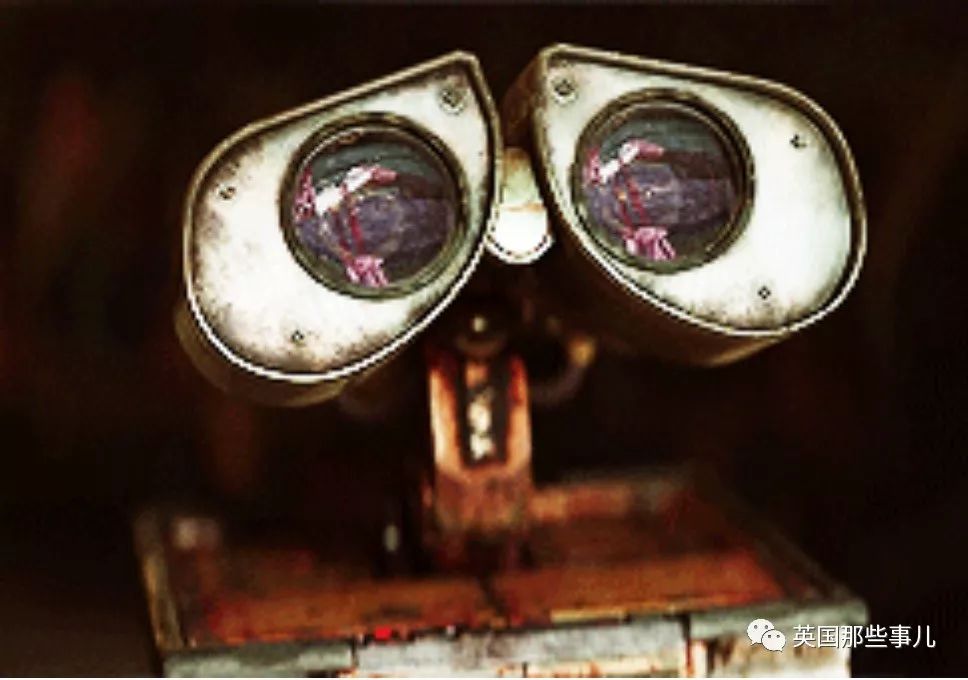 机器人总动员意味着什么 (机器人总动员让人类永远保持理智)