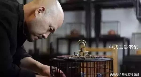 提笼架鸟什么意思,提笼架鸟