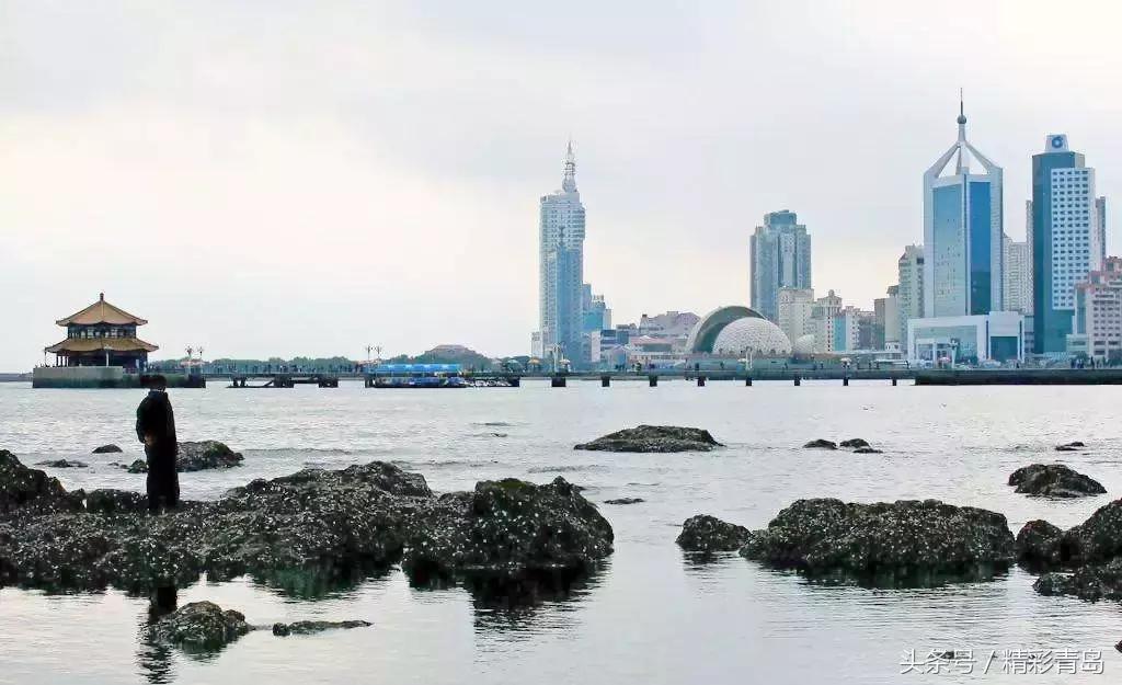 青岛是一个什么样的岛,青岛是一座美丽的海滨城市