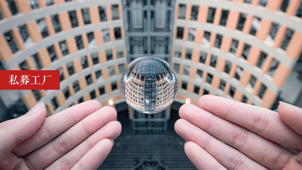 冠军理财被骗,冠军被骗