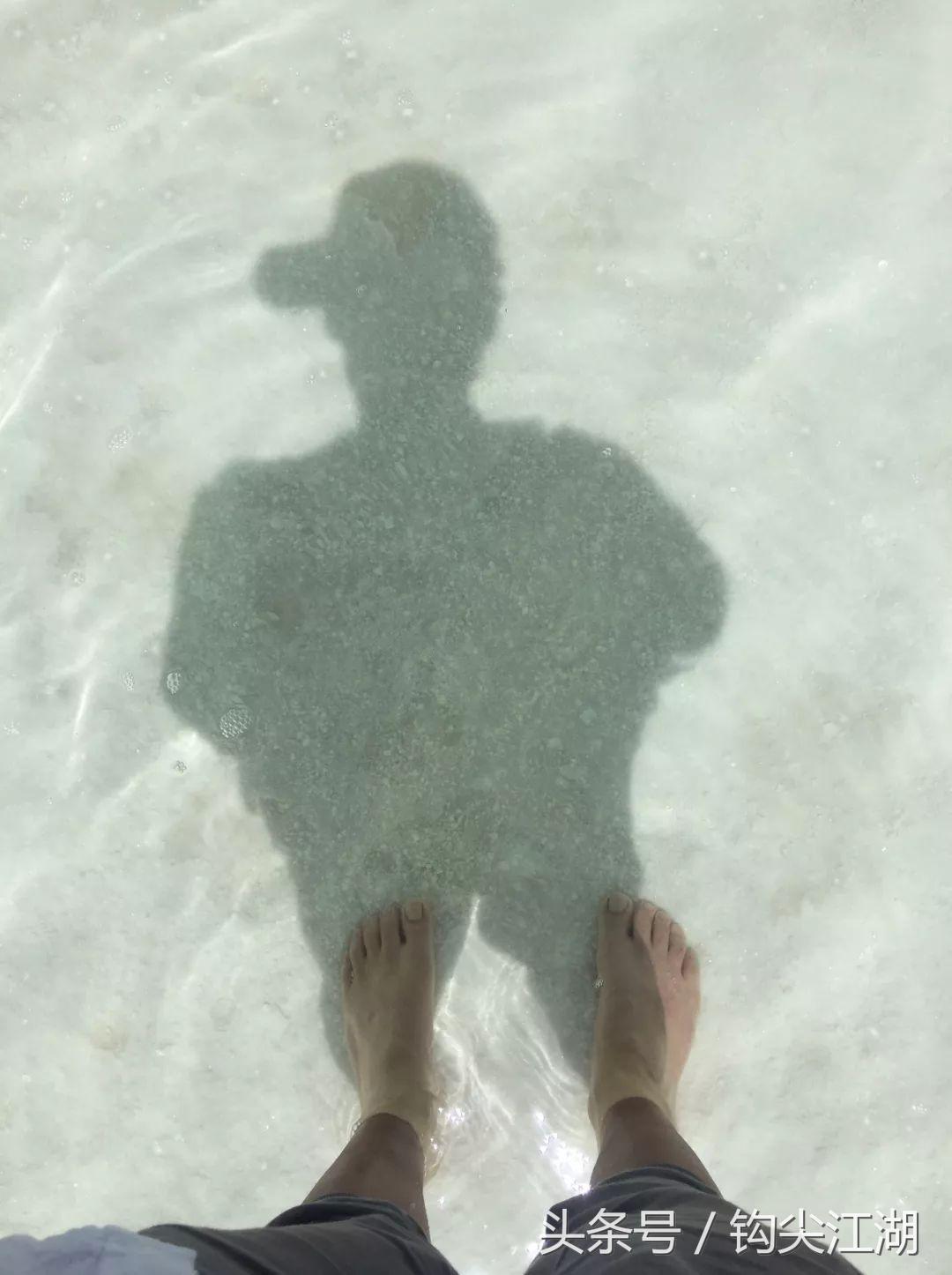 野钓日常钓鱼的乐趣只有钓鱼人懂,和钓友一起看钓鱼经验分享