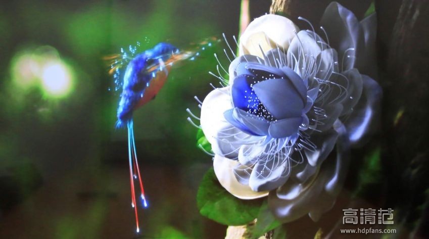 创维极光企鹅盒子价格,企鹅极光1v评测