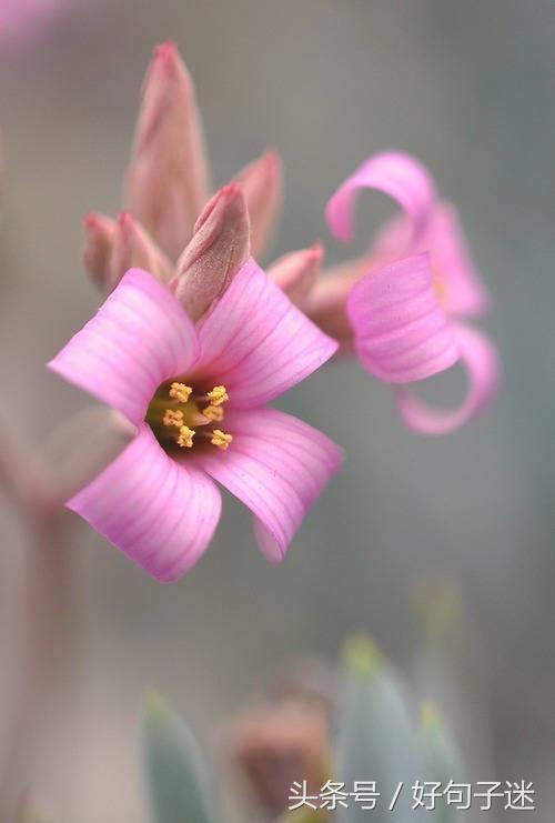 经典语录个性签名人生感悟,简短精辟的个性签名句子精辟走心