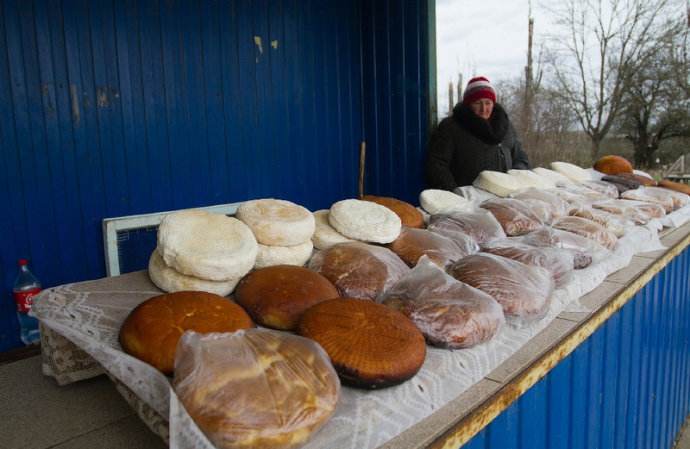 活蛆奶酪！隐藏在黑暗料理背后的佳肴