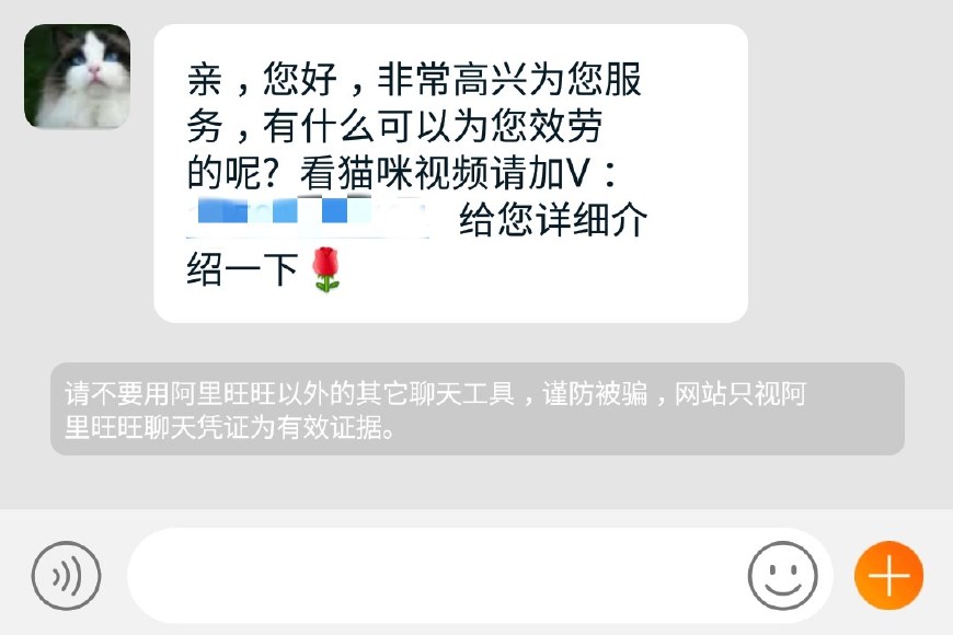 揭露猫贩子及网络买猫的骗局,揭秘那些网上卖猫的人