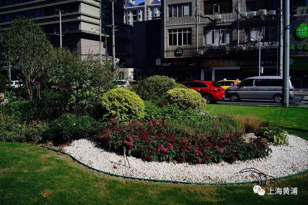 臭水浜变成了林荫道,《从臭水浜到林荫道》小学课文