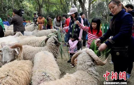 现在吃牛羊肉还安全吗？内蒙古通辽发生疑似牛炭疽疫情！炭疽到底是什么？会有生命危险吗？