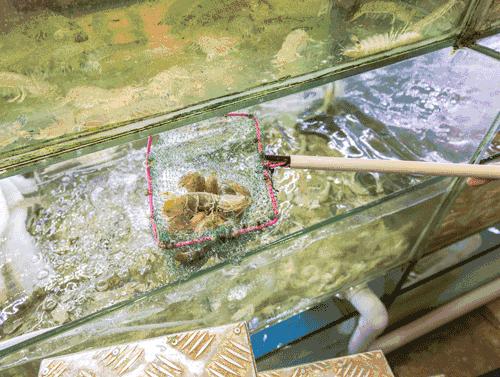 这座高铁直达的小县城，藏着圣托里尼的浪漫，济州岛的清新！