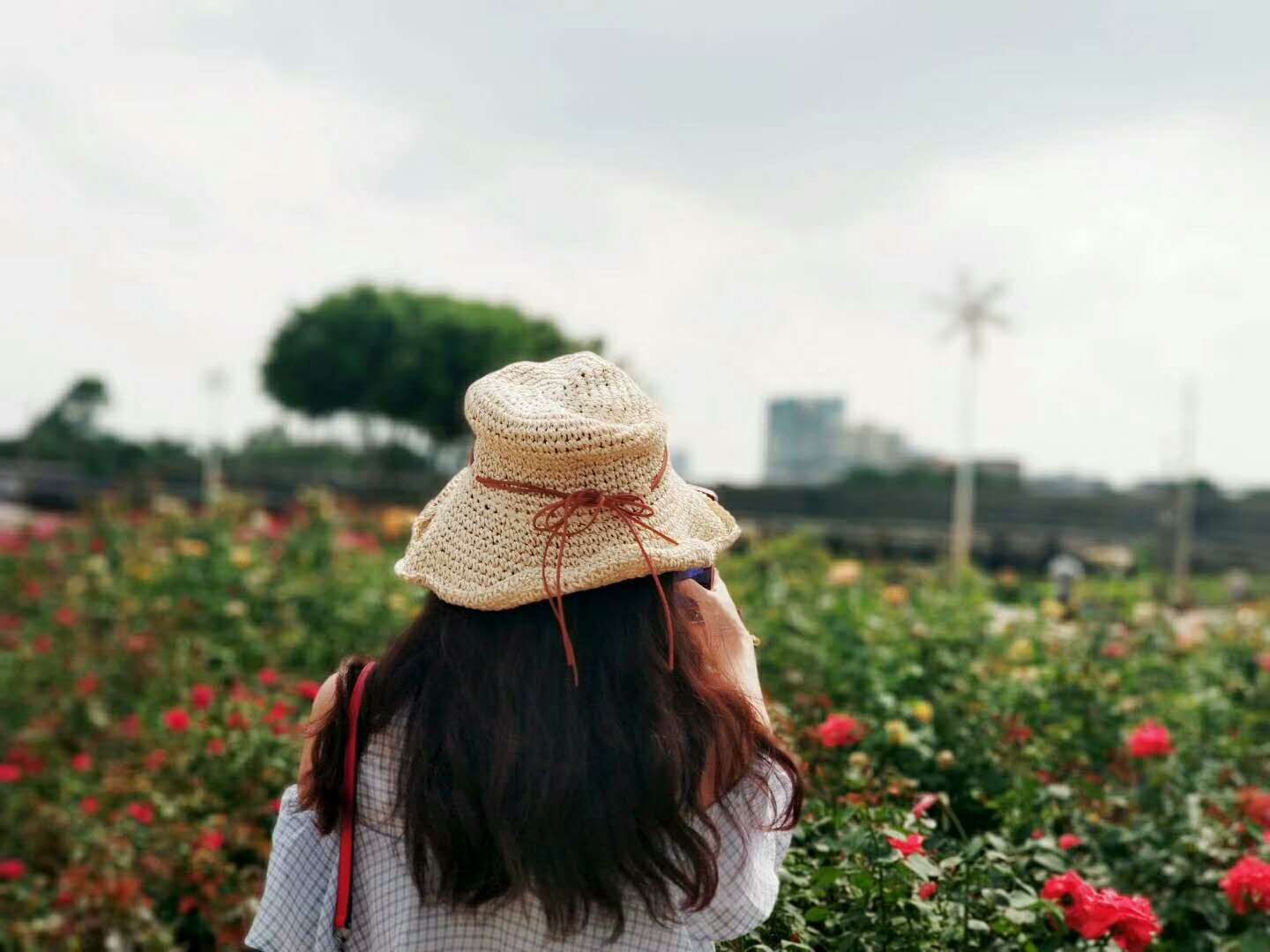 始终徘徊在两个女人之间的男人,徘徊在两个男人之间的女人