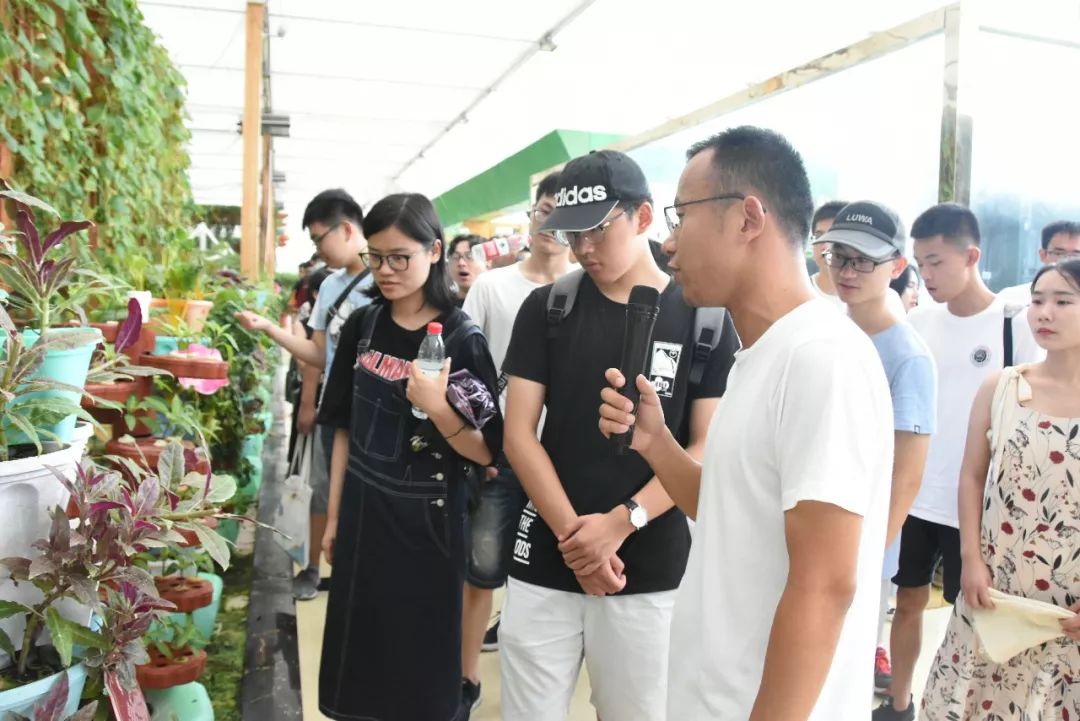 青春同行，飞扬梦想！“百名学子看淮安我与家乡共成长”之行，收获满满！