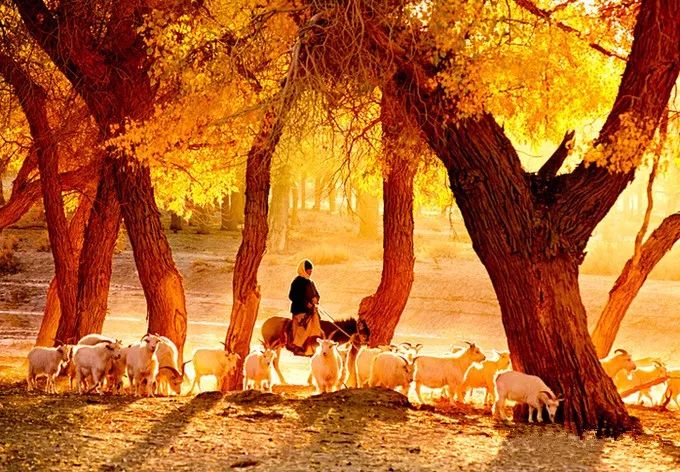 国庆去广州旅游酒店推荐,国庆十天旅游推荐