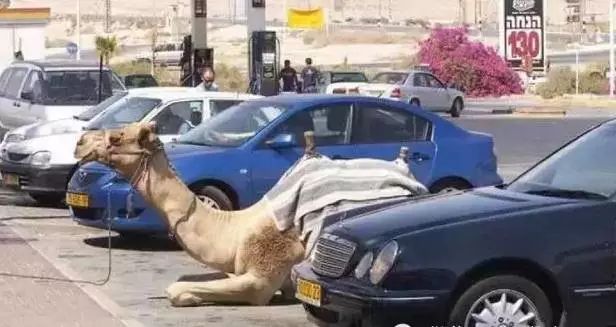 揭秘迪拜的真实生活,记录迪拜真实生活