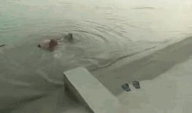 监控拍下令人惊恐的视频,监控拍下医院惊恐一幕