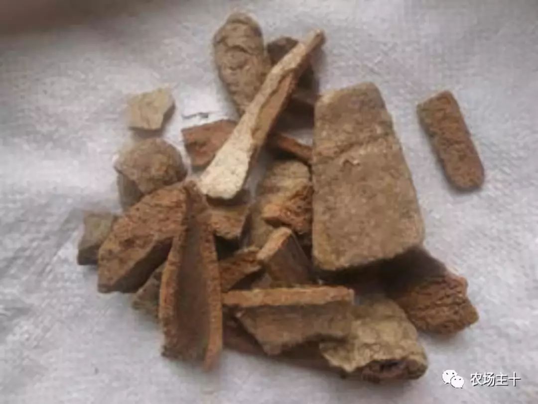 有趣的中药,你认识几种?