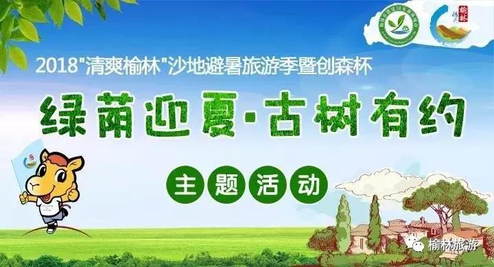 走遍榆林寻古树、品农味、游乡村，感受最清爽的一抹绿之子洲篇