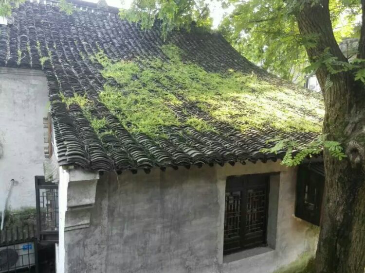 怎样打造爆款民宿,民宿怎么打造网红