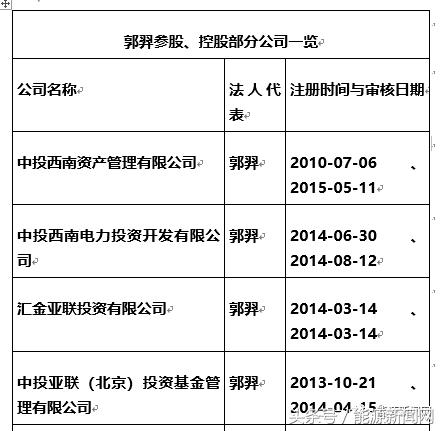 非法*储吸**！新能源“民族英雄”跌落神坛