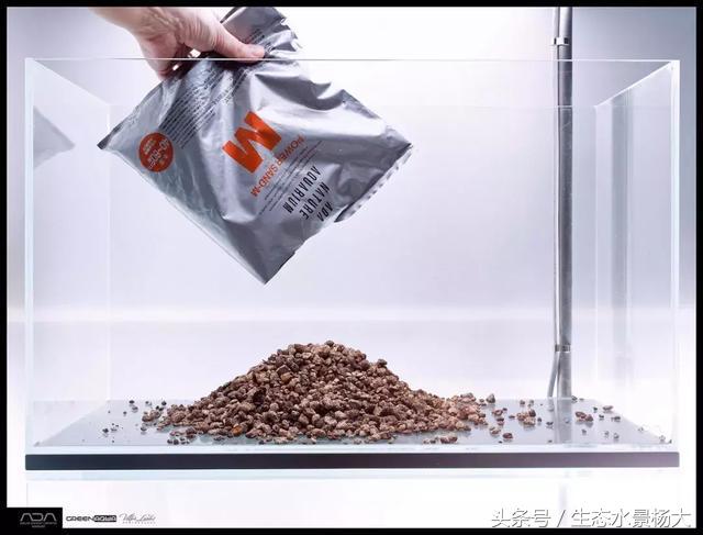 ada草缸造景什么意思,ada造景大赛60缸