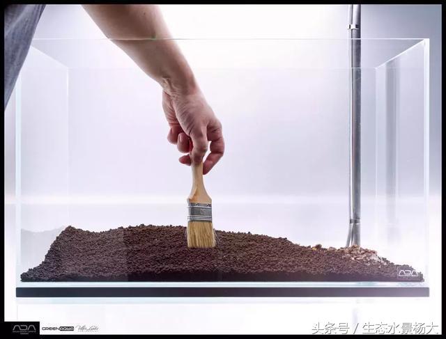 ada草缸造景什么意思,ada造景大赛60缸