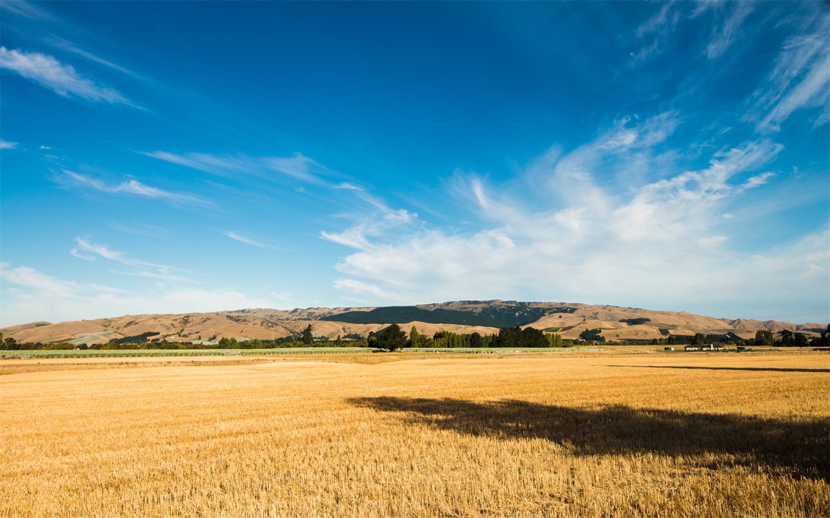 夜幕风之平原在哪里,夜幕风之平原bgm