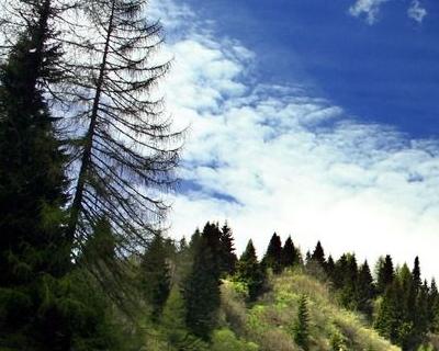 越接近年底运气就越好的三大生肖,中年让人高攀不起的生肖