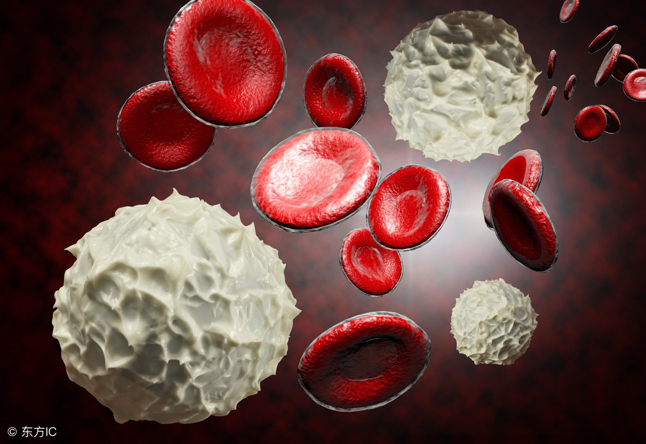 肿瘤化疗后白细胞低是什么原因,白细胞低是肿瘤吗